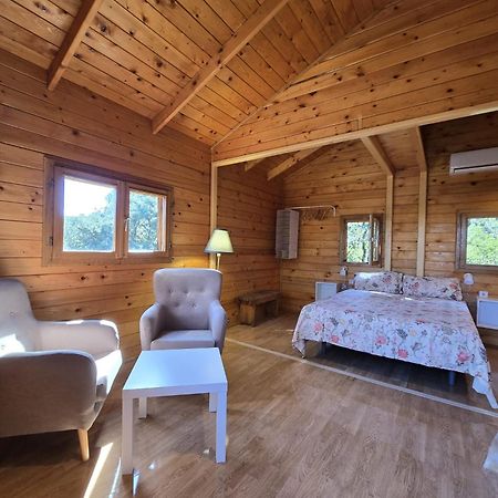 Nuevo Ecolodge Cabaneros Retuerta de Bullaque Luaran gambar
