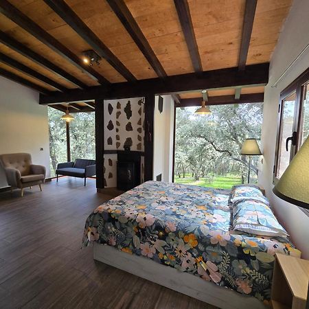 Nuevo Ecolodge Cabaneros Retuerta de Bullaque Luaran gambar