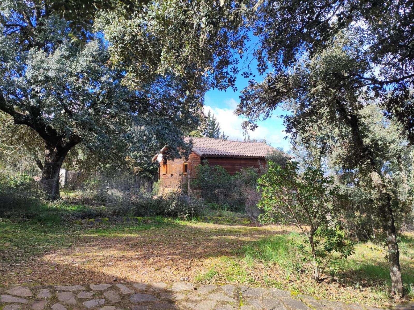 Nuevo Ecolodge Cabaneros Retuerta de Bullaque Luaran gambar