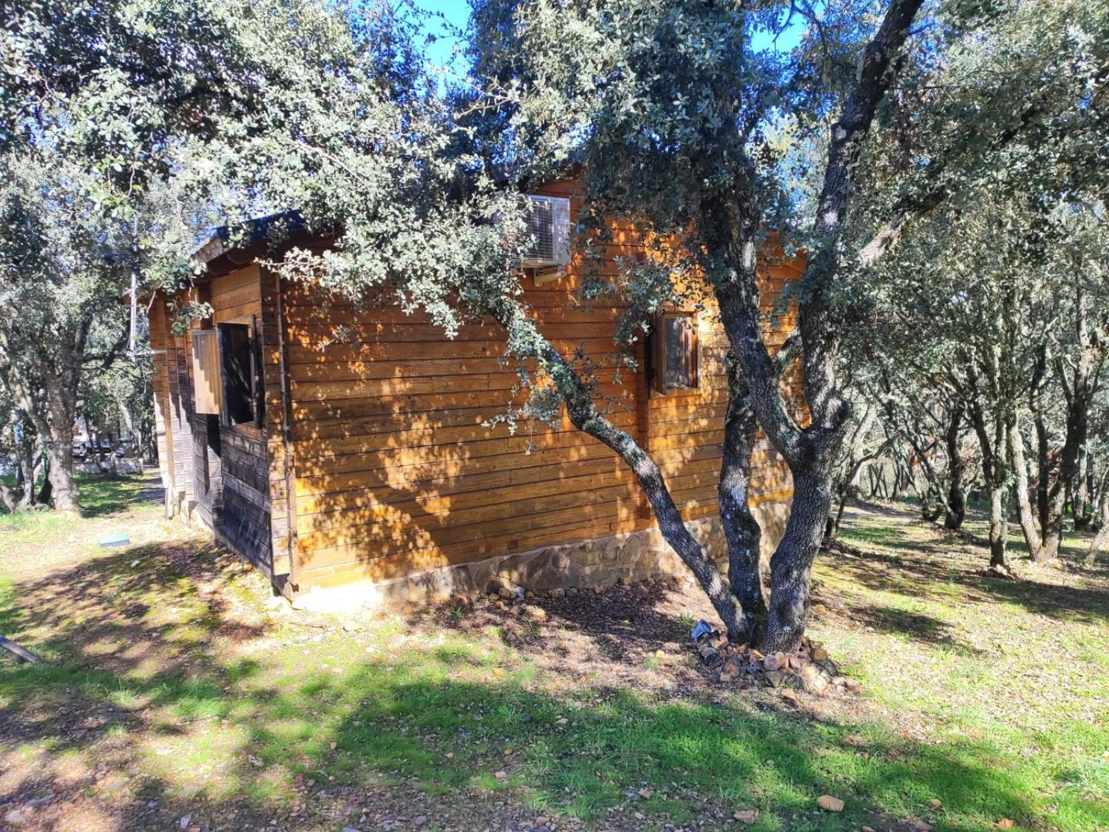 Nuevo Ecolodge Cabaneros Retuerta de Bullaque Luaran gambar