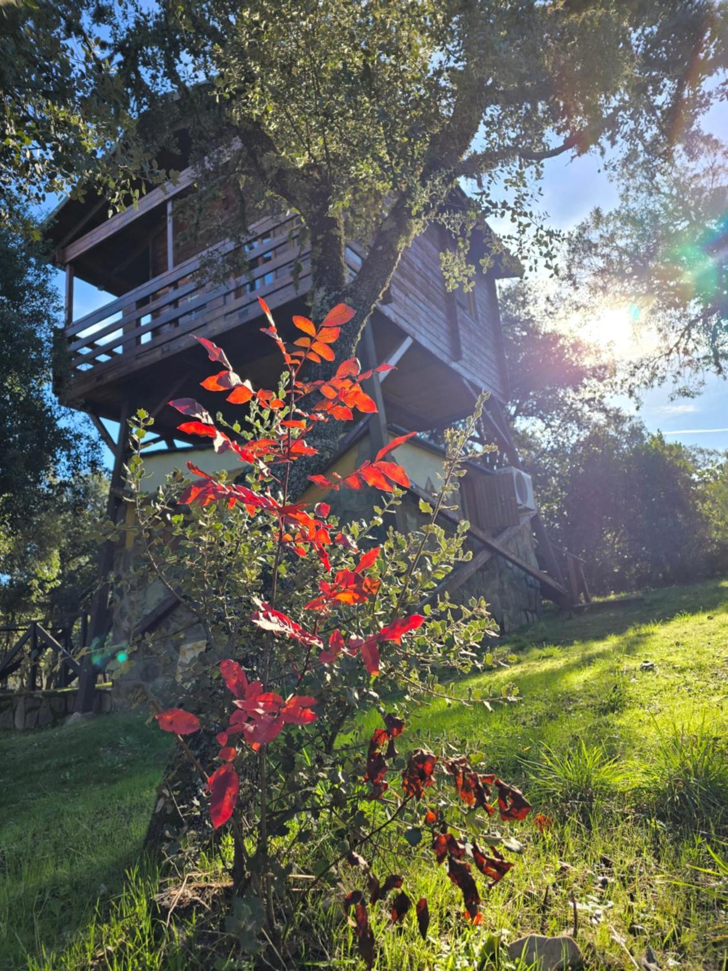 Nuevo Ecolodge Cabaneros Retuerta de Bullaque Luaran gambar